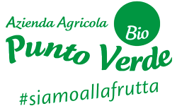 Punto Verde Bio Logo